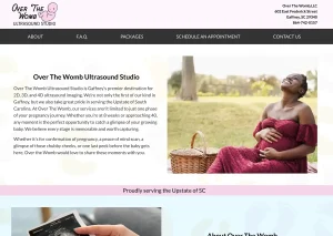 over the womb portfolio